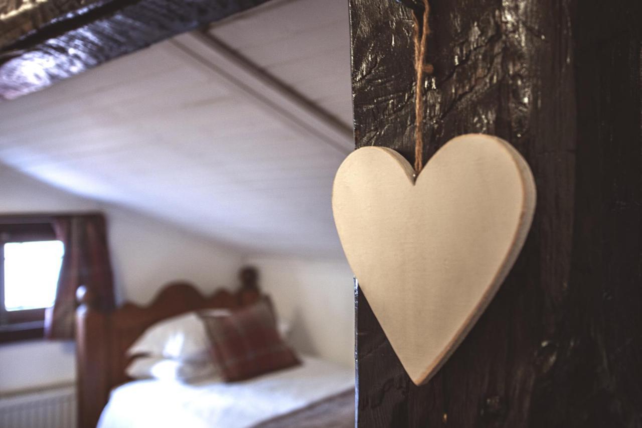 Chalet Jora - Total Chalets Bansko Bagian luar foto