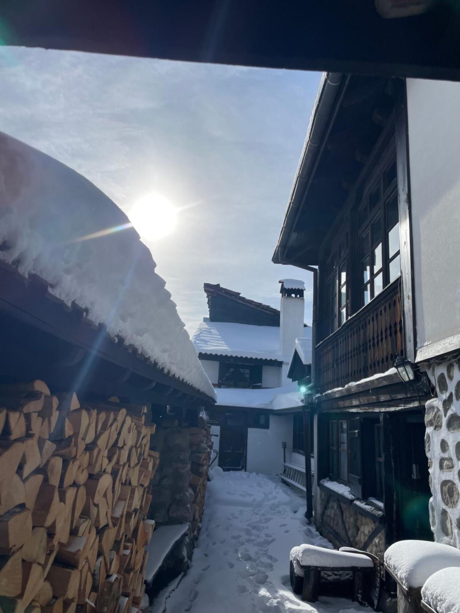 Chalet Jora - Total Chalets Bansko Bagian luar foto