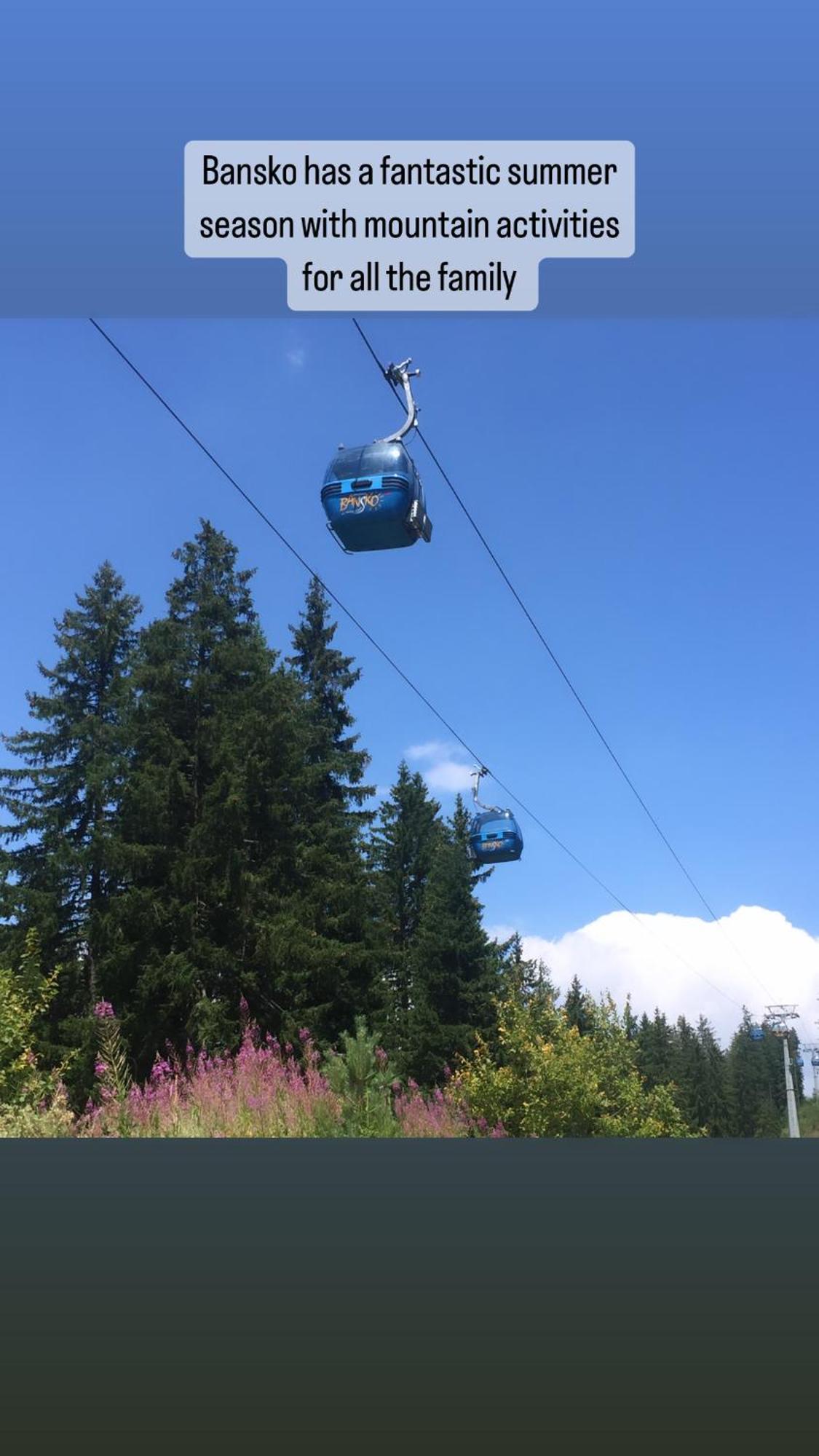 Chalet Jora - Total Chalets Bansko Bagian luar foto